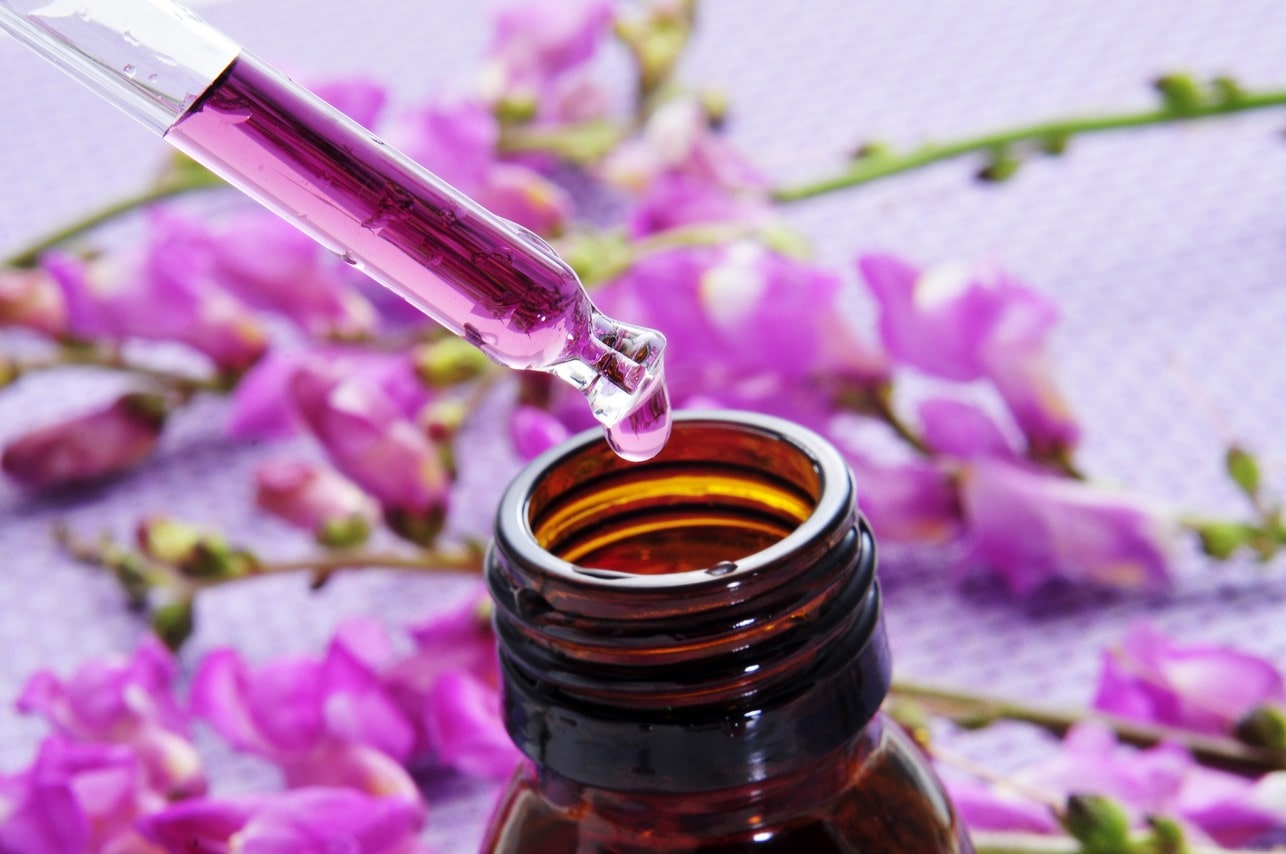 Curso Flores de Bach, los remedios florales del Dr. Bach, cursos de terapias alternativas García y Lledó (Alicante)