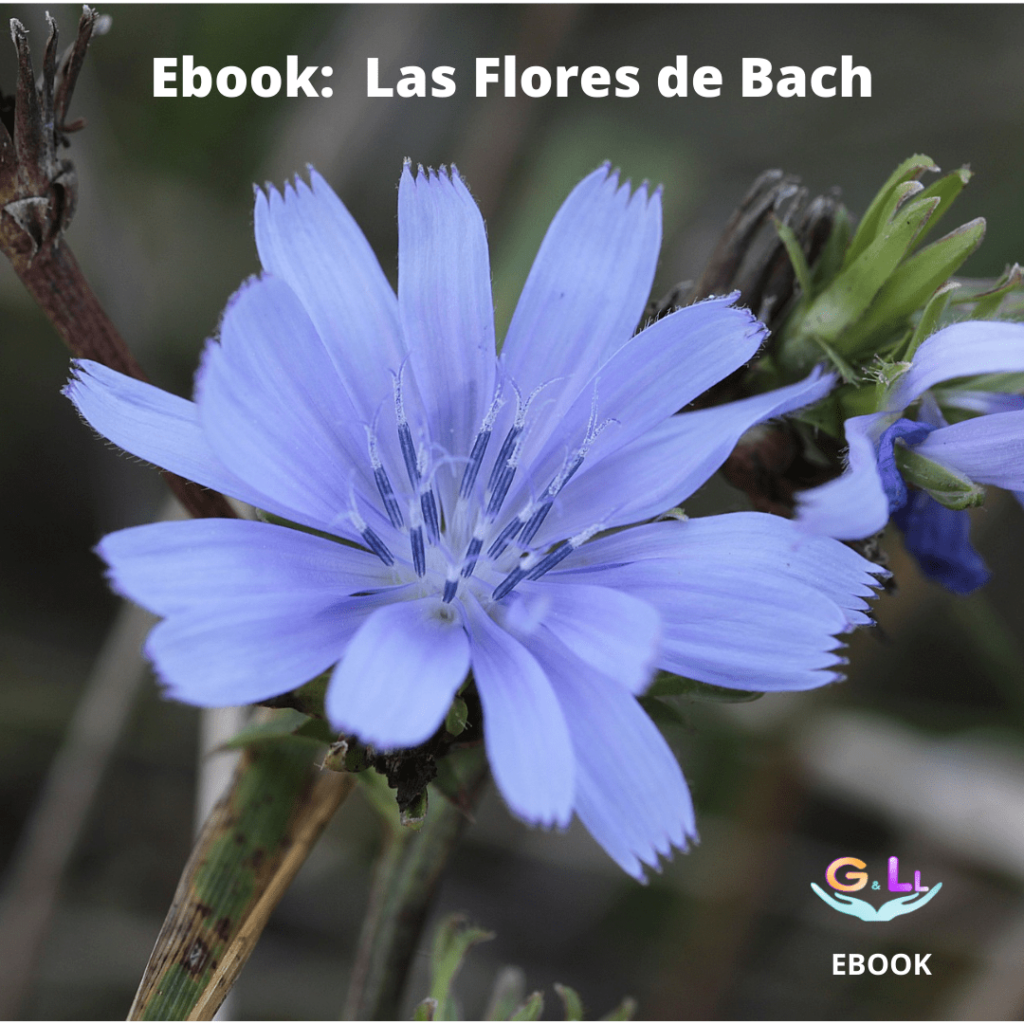 Ebook Las Flores de Bach de Terapias García y Lledó